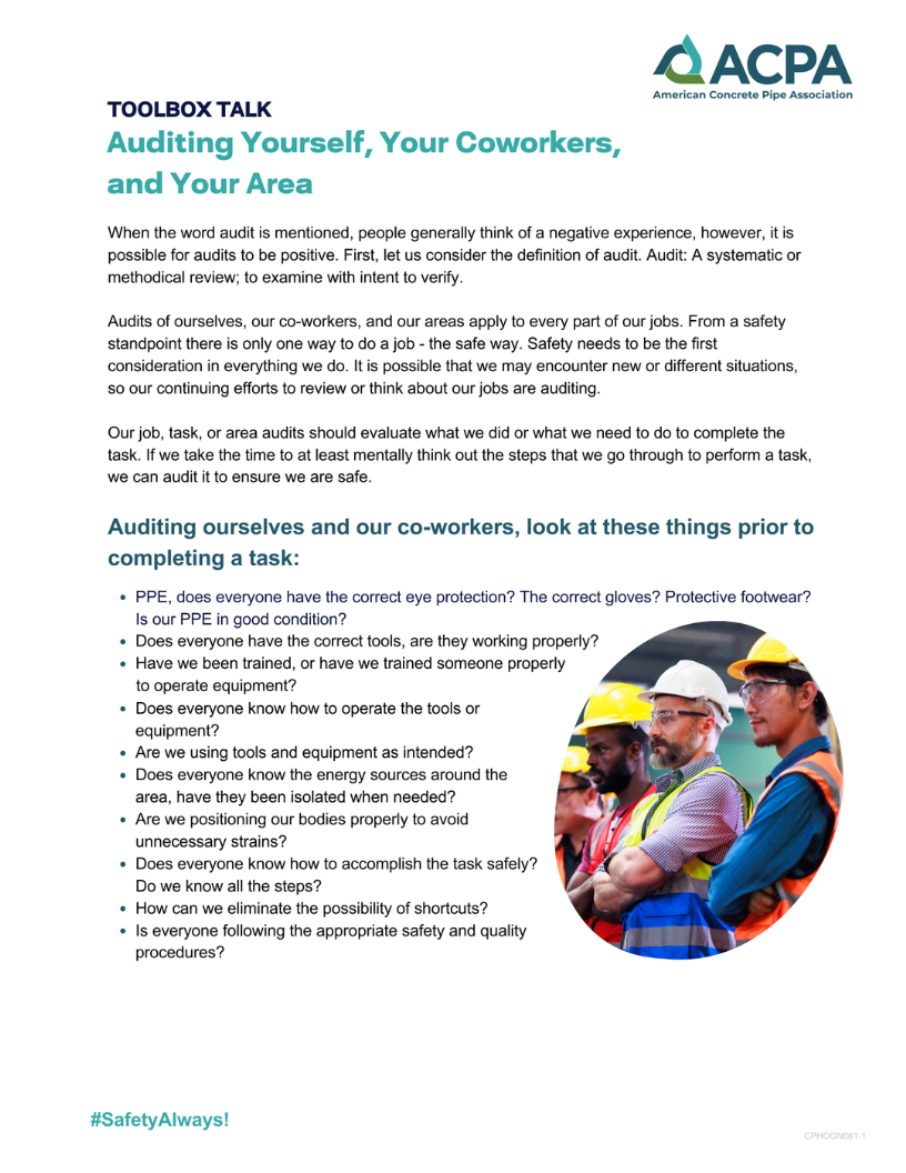Auditing Safety